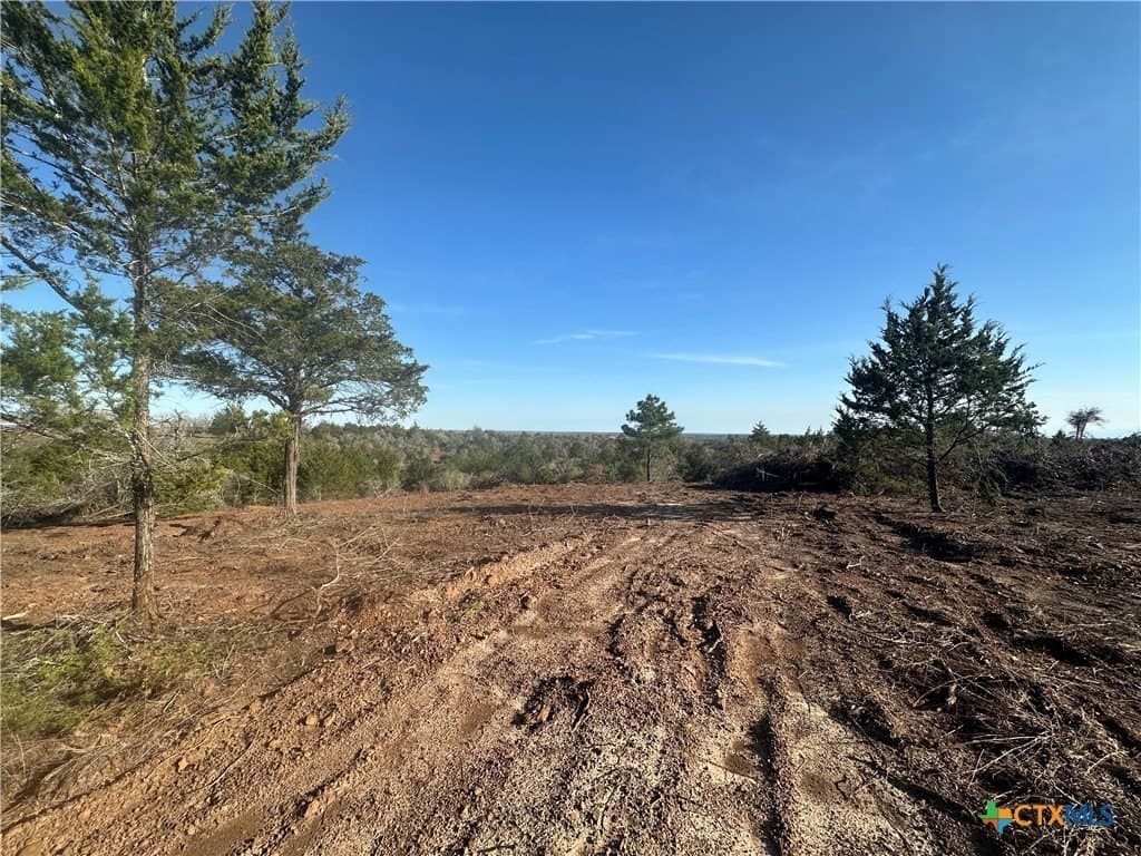 88.41 acres in Caldwell County - photo 3