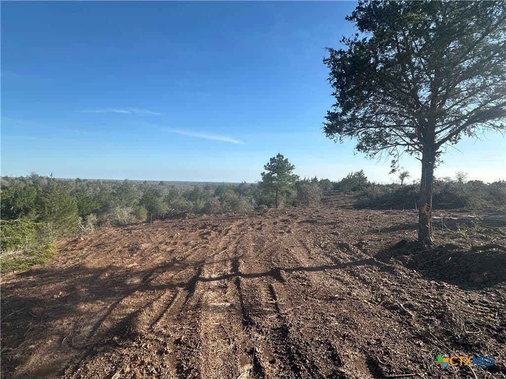 88.41 acres in Caldwell County - photo 2