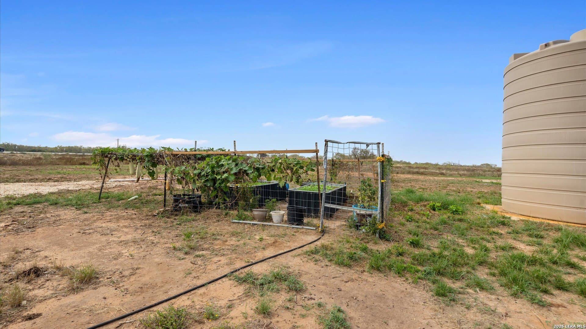 32 acres in Atascosa County - photo 17