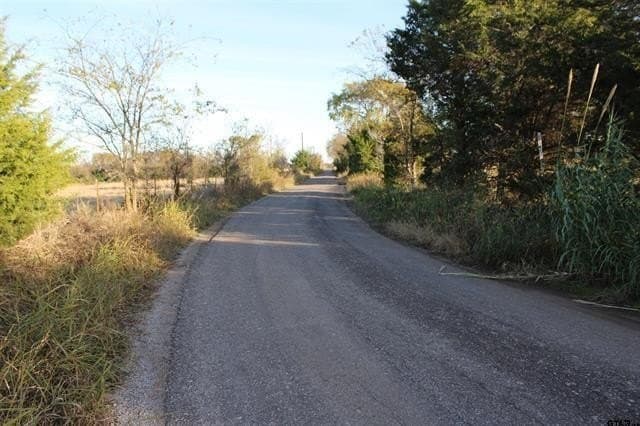 27.8 acres in Van Zandt County - photo 4