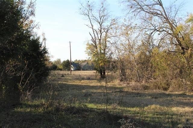 27.8 acres in Van Zandt County - photo 8