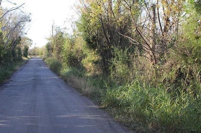 27.8 acres in Van Zandt County - photo 13