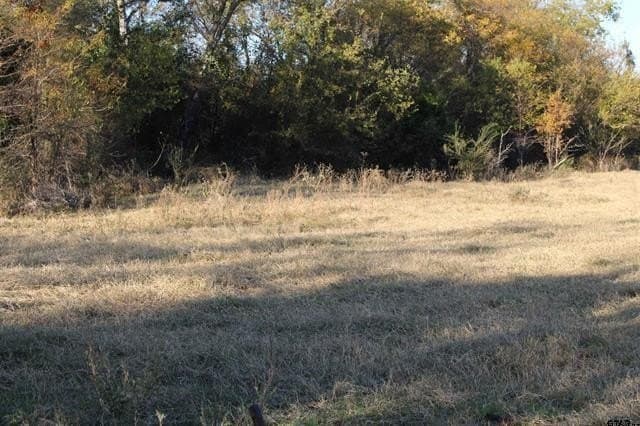 27.8 acres in Van Zandt County - photo 11