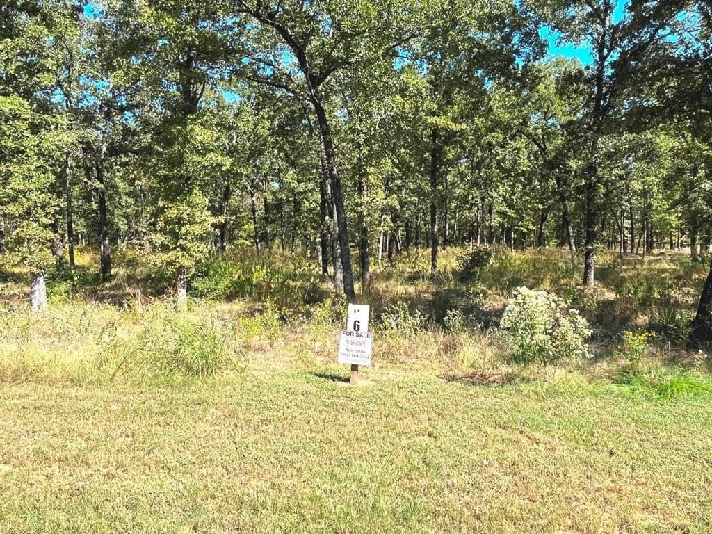 3 acres in Henderson County - photo 11