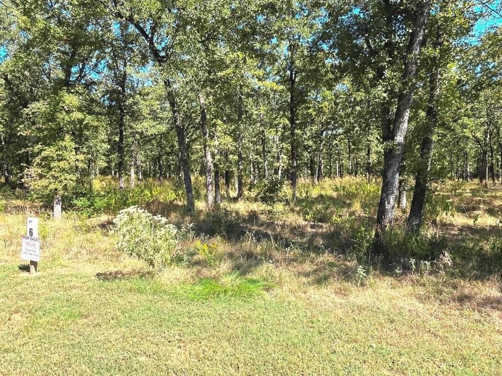3 acres in Henderson County - photo 13