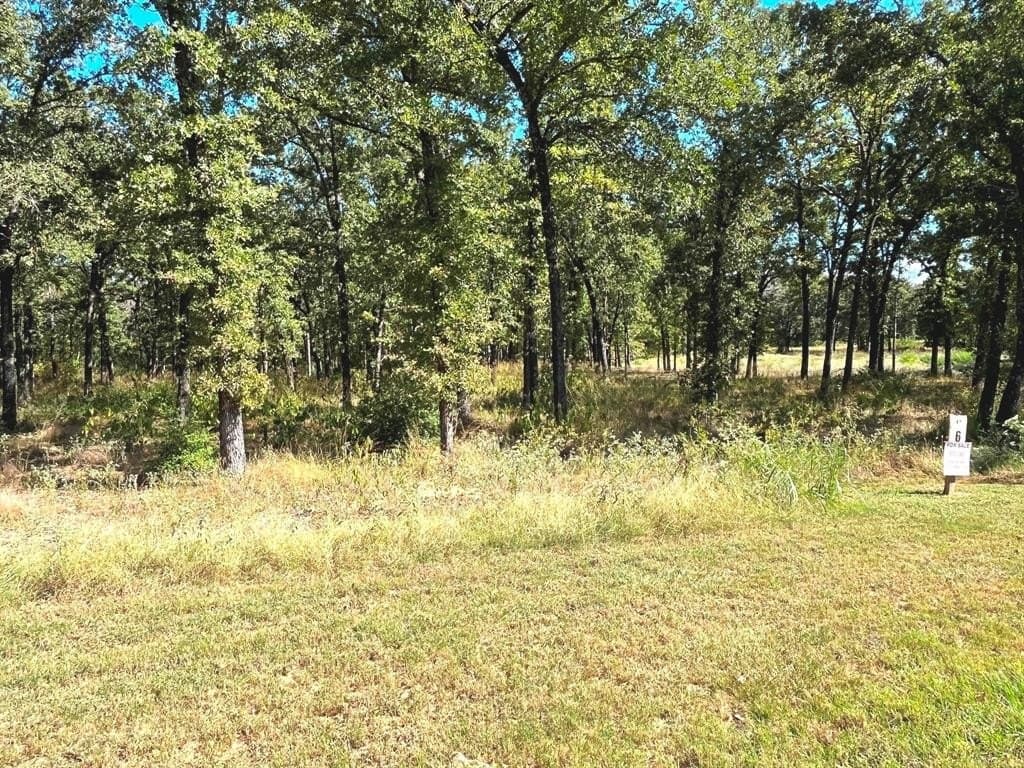 3 acres in Henderson County - photo 12
