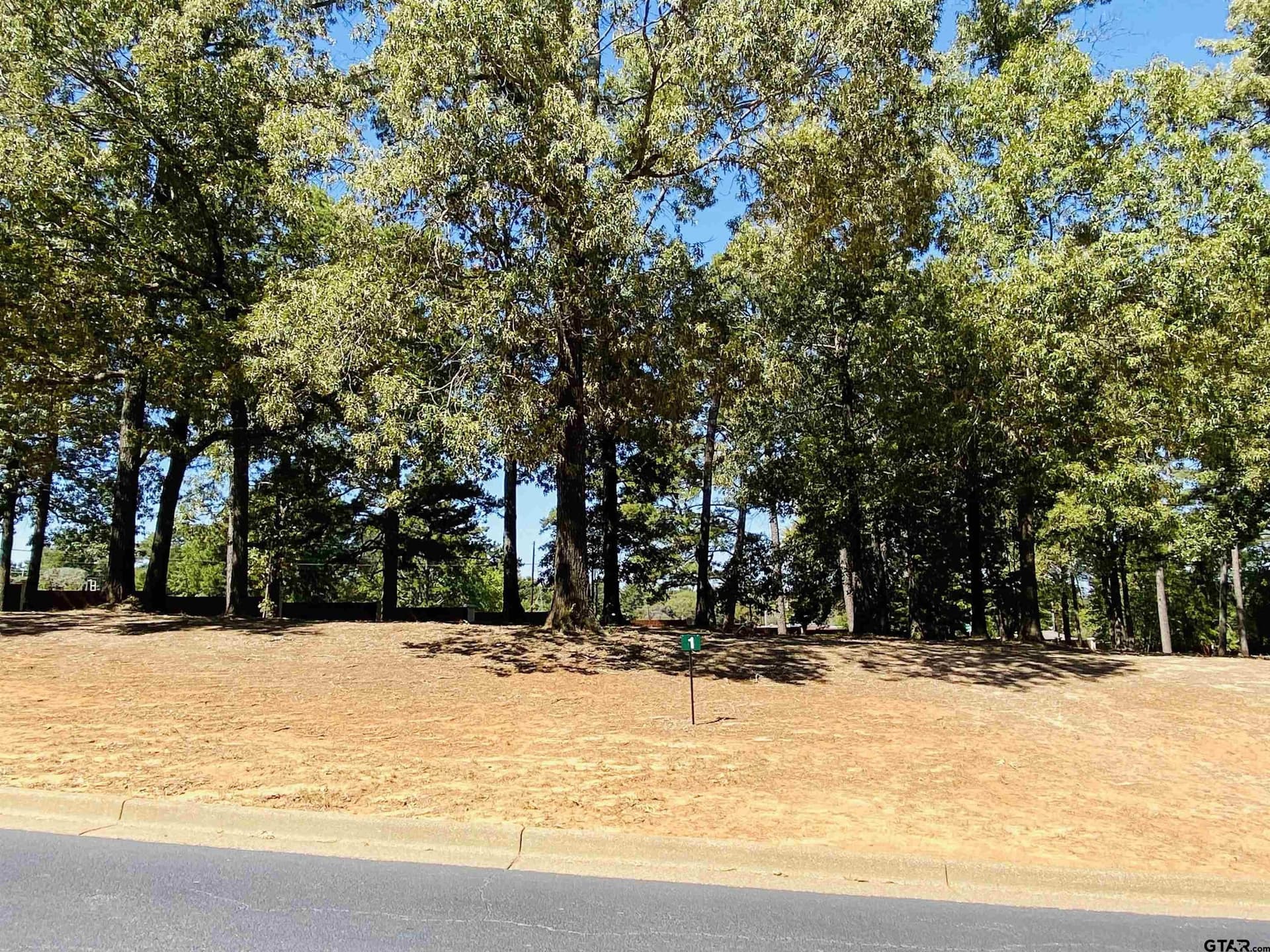 0.45 acres in Anderson County - photo 3