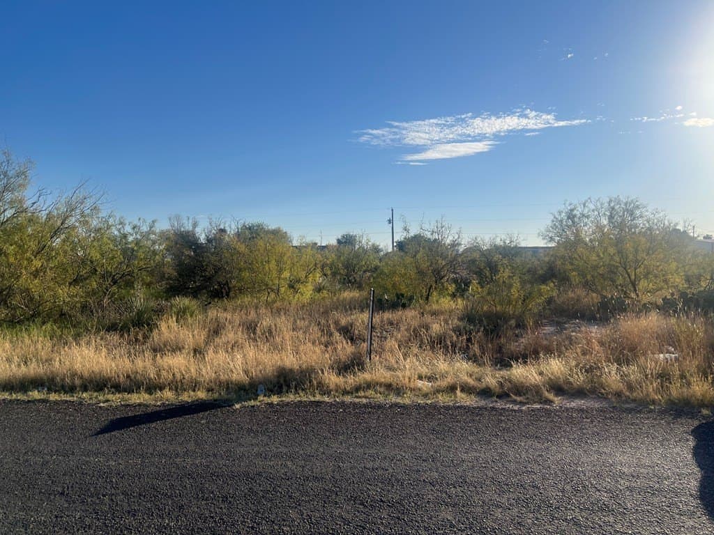 0.54 acres in Ector County - photo 4