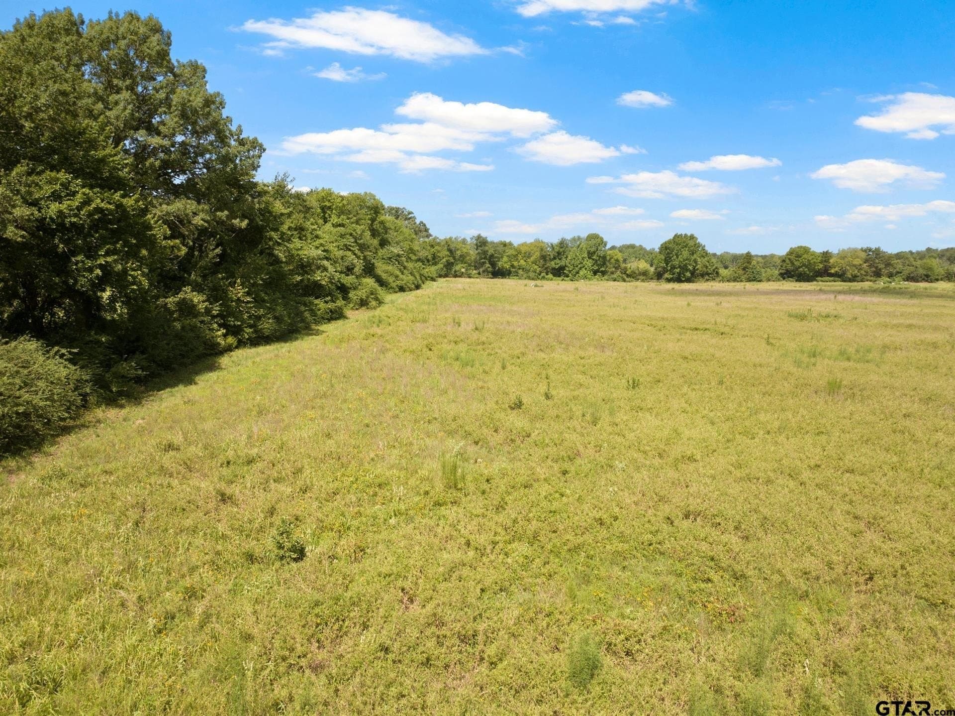 3.95 acres in Titus County - photo 5