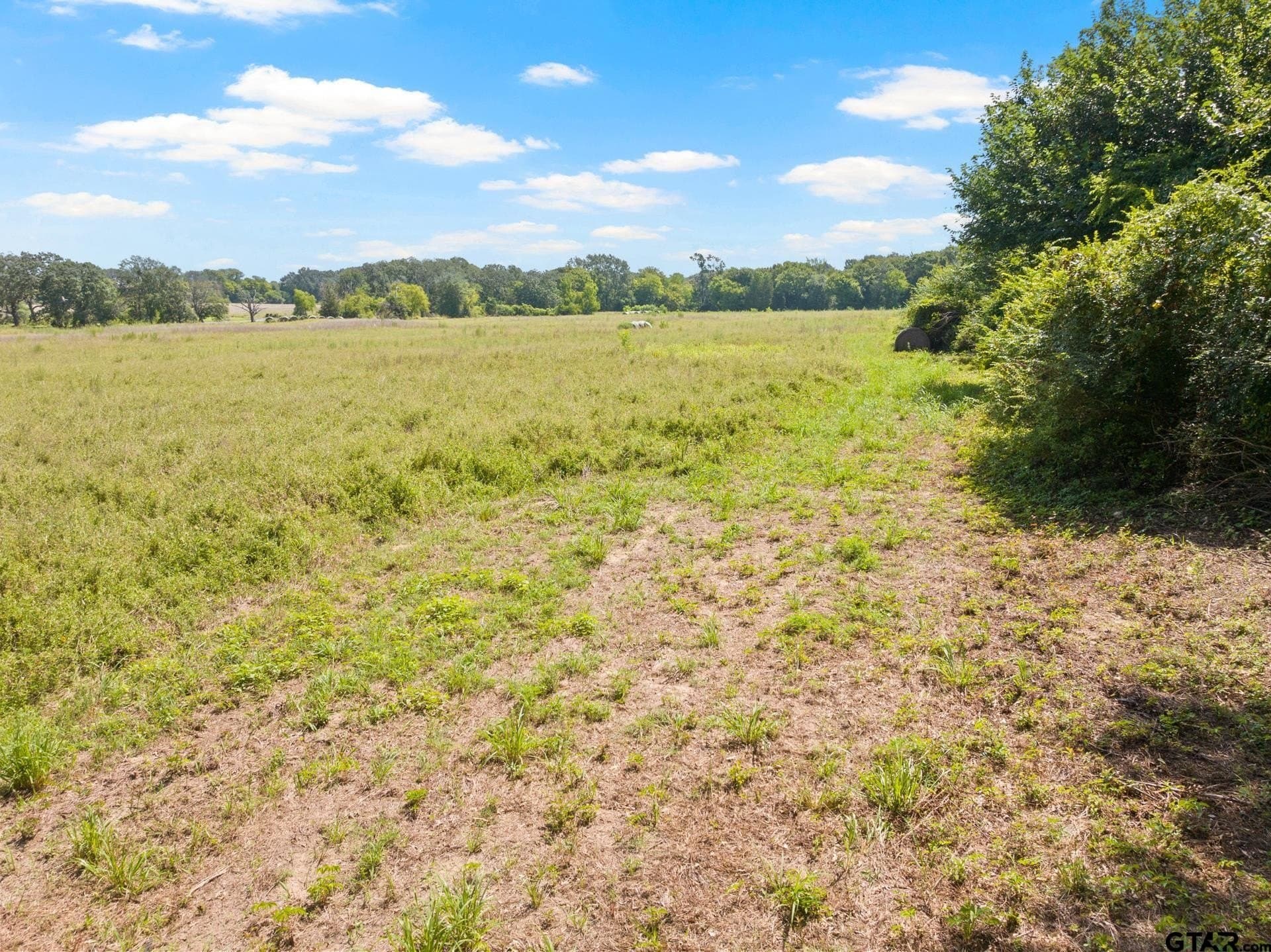 3.95 acres in Titus County - photo 2