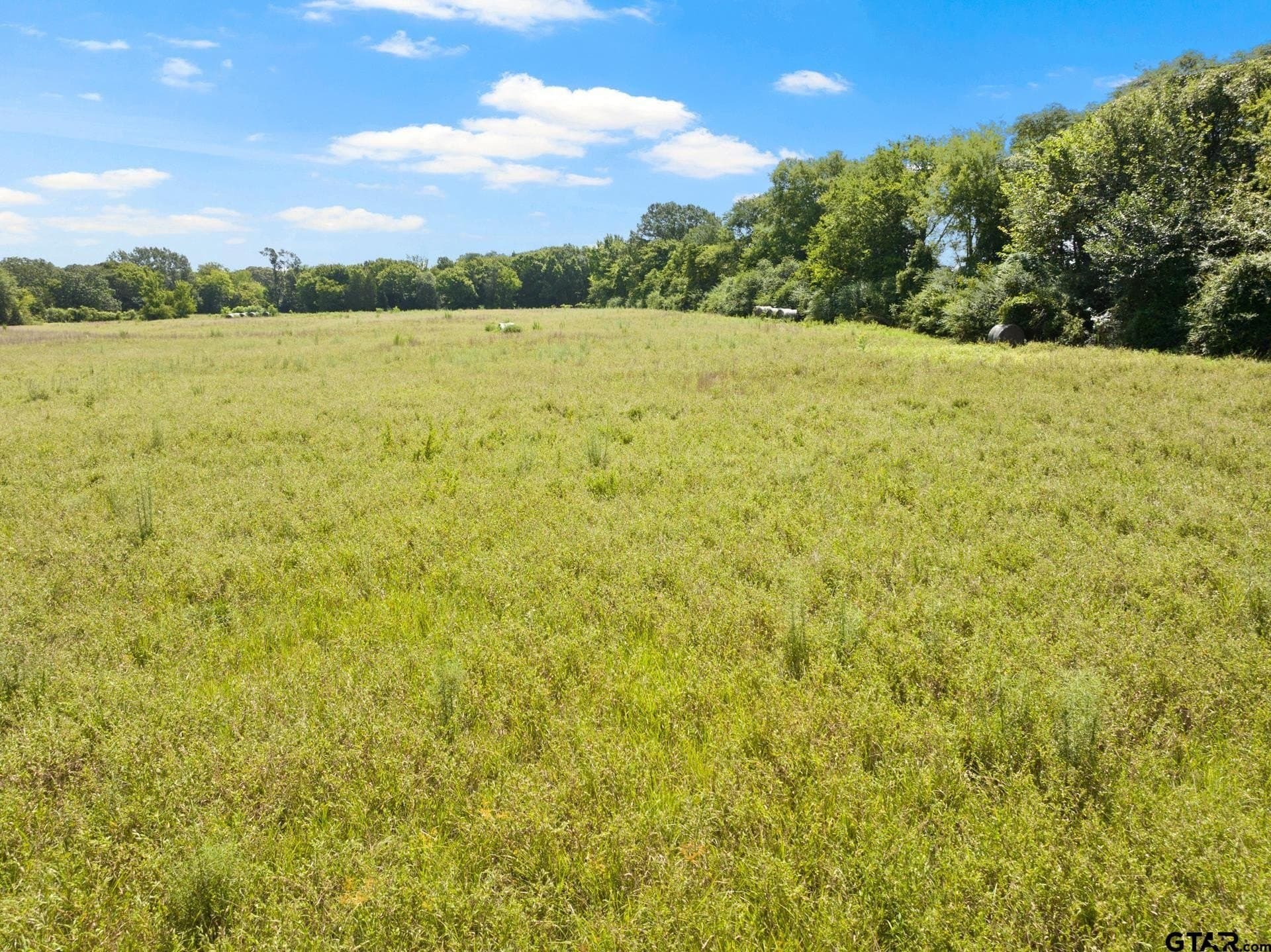 3.95 acres in Titus County - photo 3