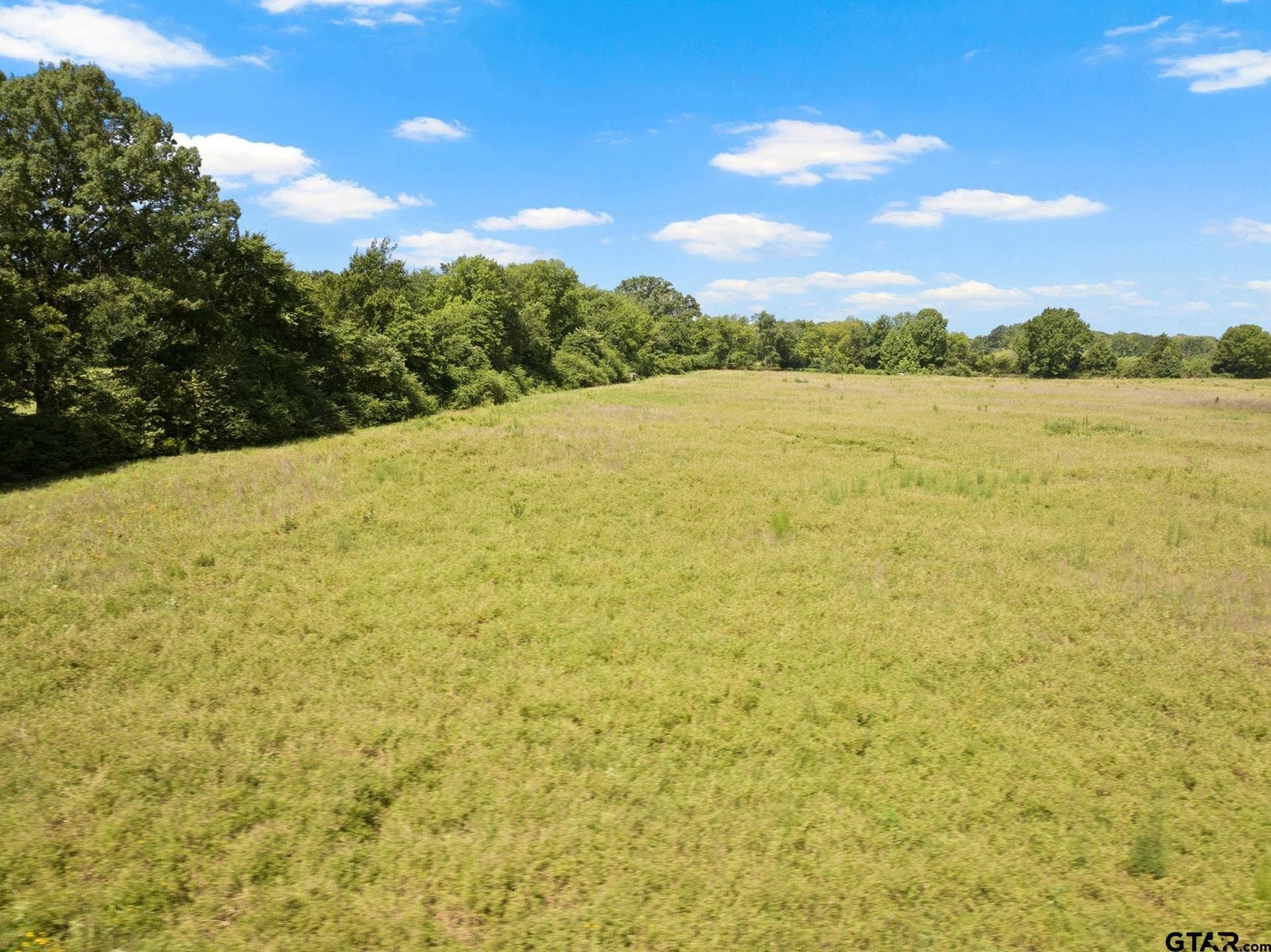 3.95 acres in Titus County - photo 6