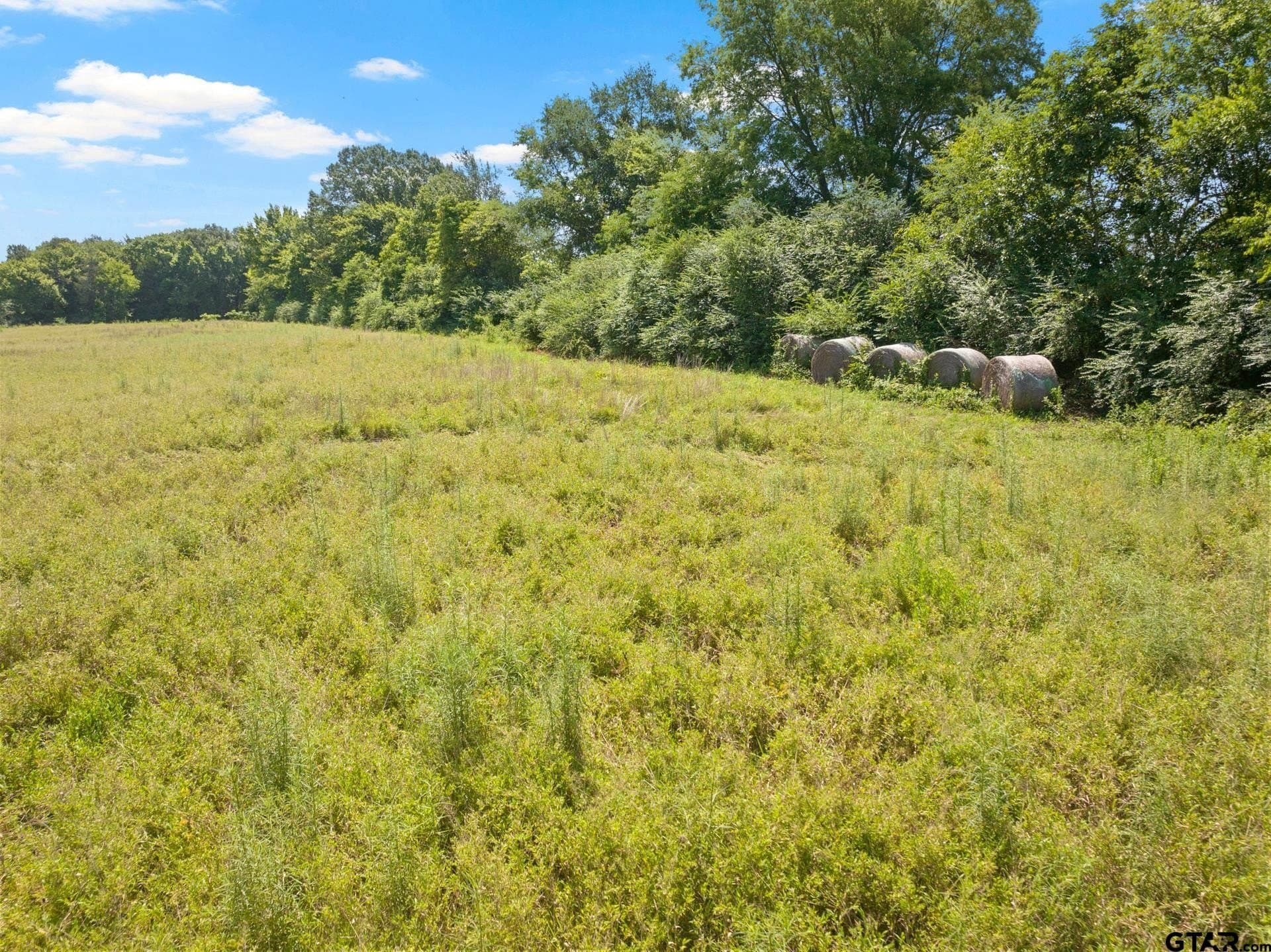 3.95 acres in Titus County - photo 4