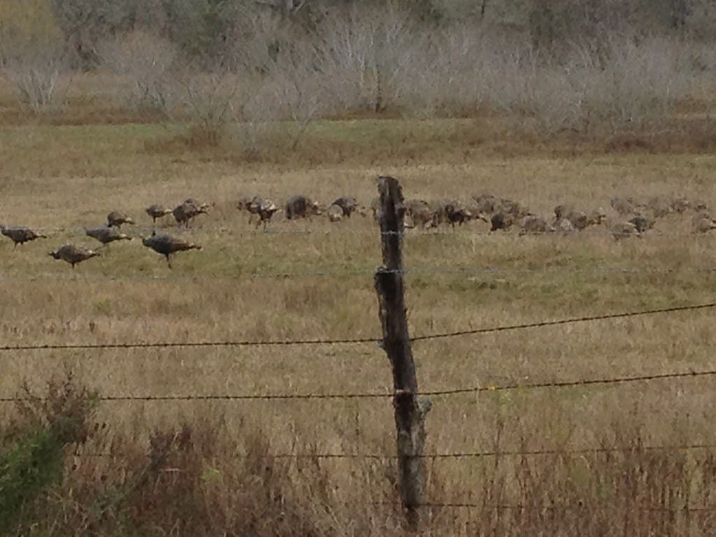 300 acres in Bastrop County - photo 18