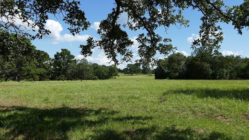 300 acres in Bastrop County - photo 7
