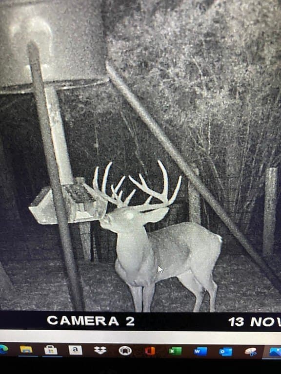 300 acres in Bastrop County - photo 14