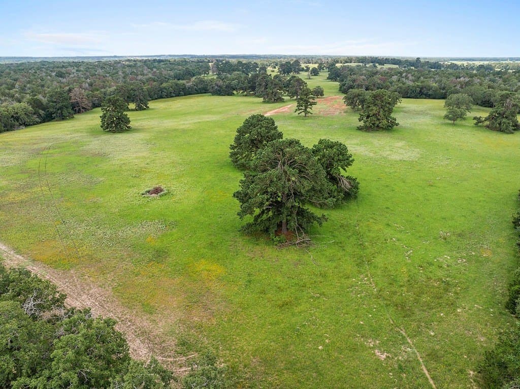 300 acres in Bastrop County - photo 10