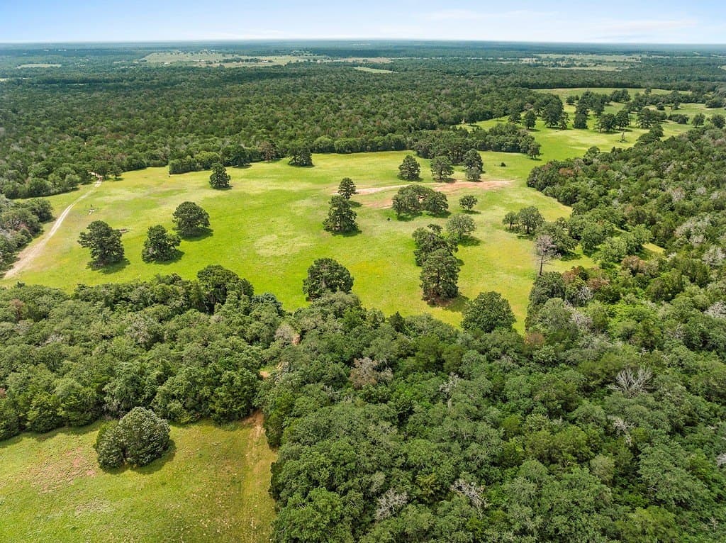 300 acres in Bastrop County - photo 12