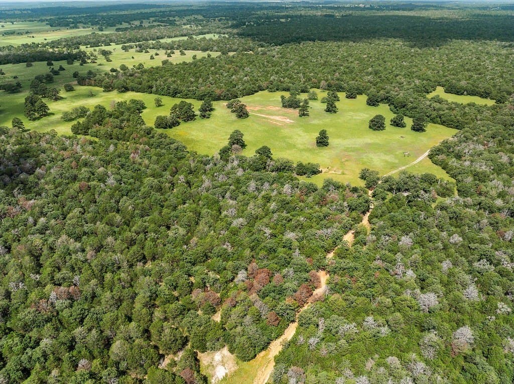 300 acres in Bastrop County - photo 3