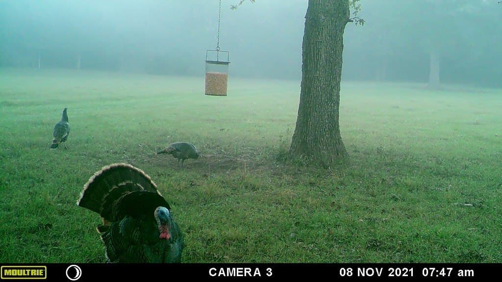 300 acres in Bastrop County - photo 15