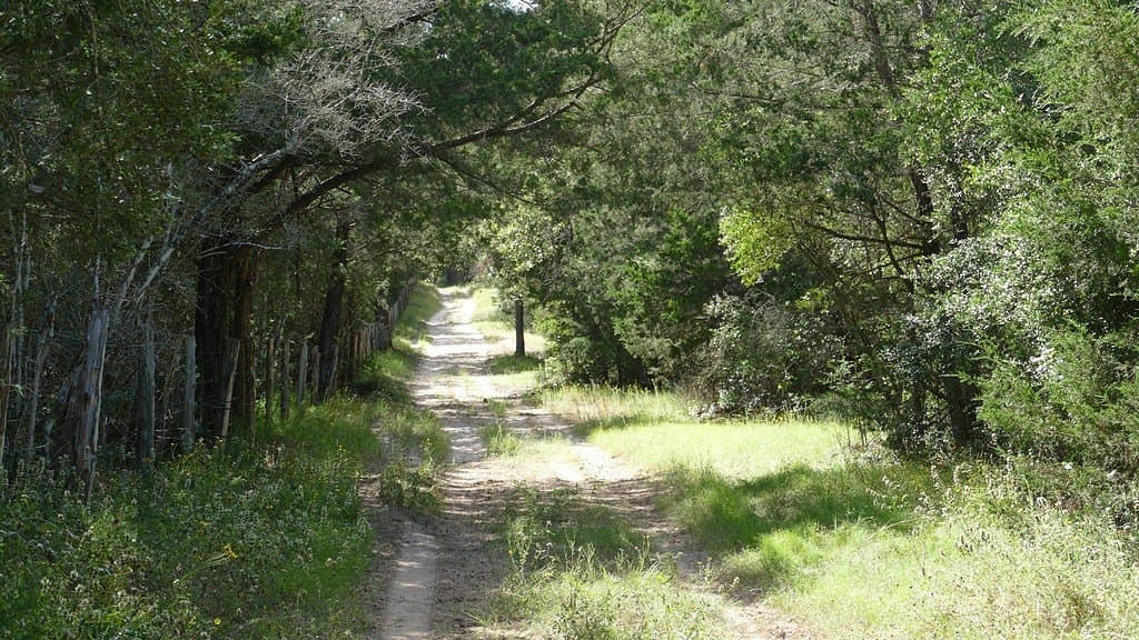 300 acres in Bastrop County - photo 9