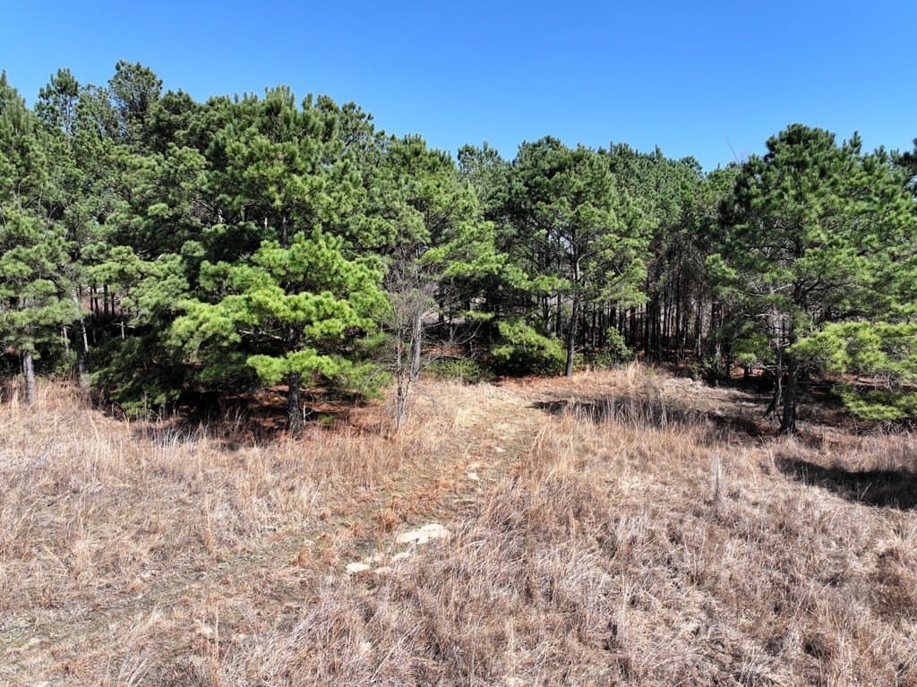 25.26 acres in Van Zandt County - photo 22