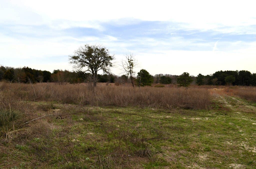 25.26 acres in Van Zandt County - photo 10