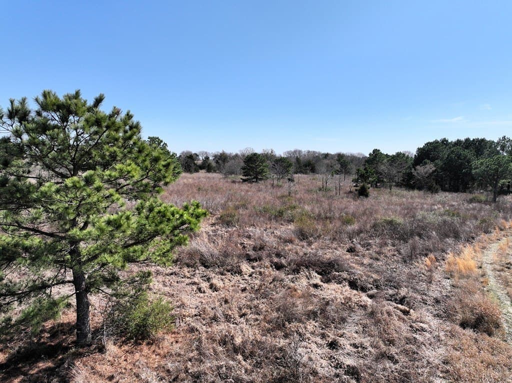 25.26 acres in Van Zandt County - photo 7