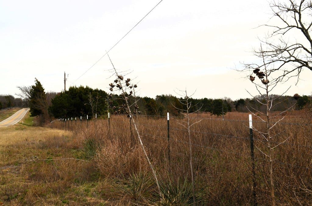 25.26 acres in Van Zandt County - photo 13