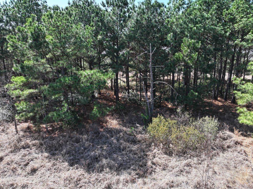 25.26 acres in Van Zandt County - photo 21