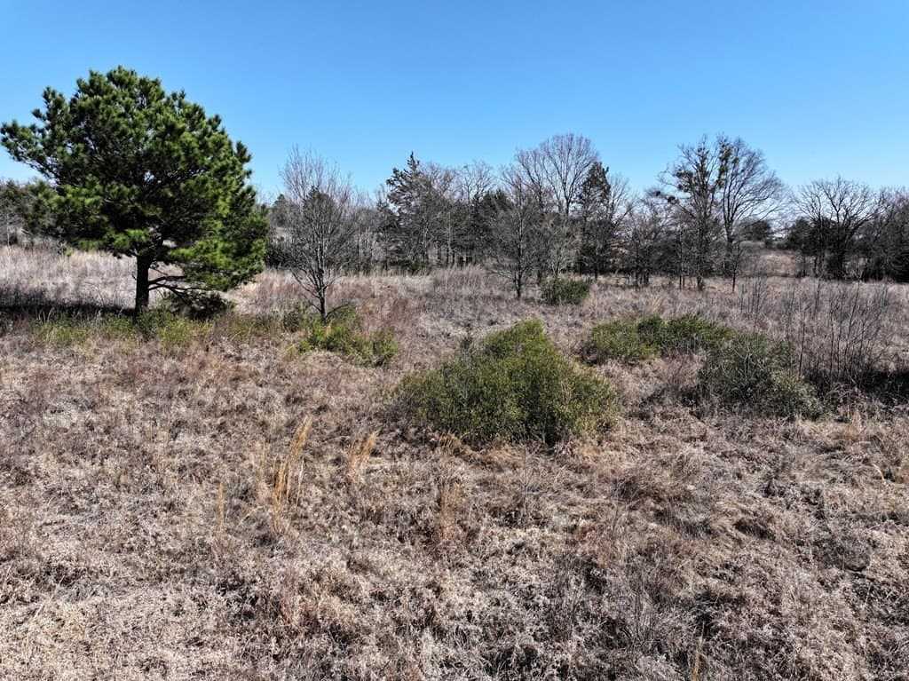 25.26 acres in Van Zandt County - photo 5