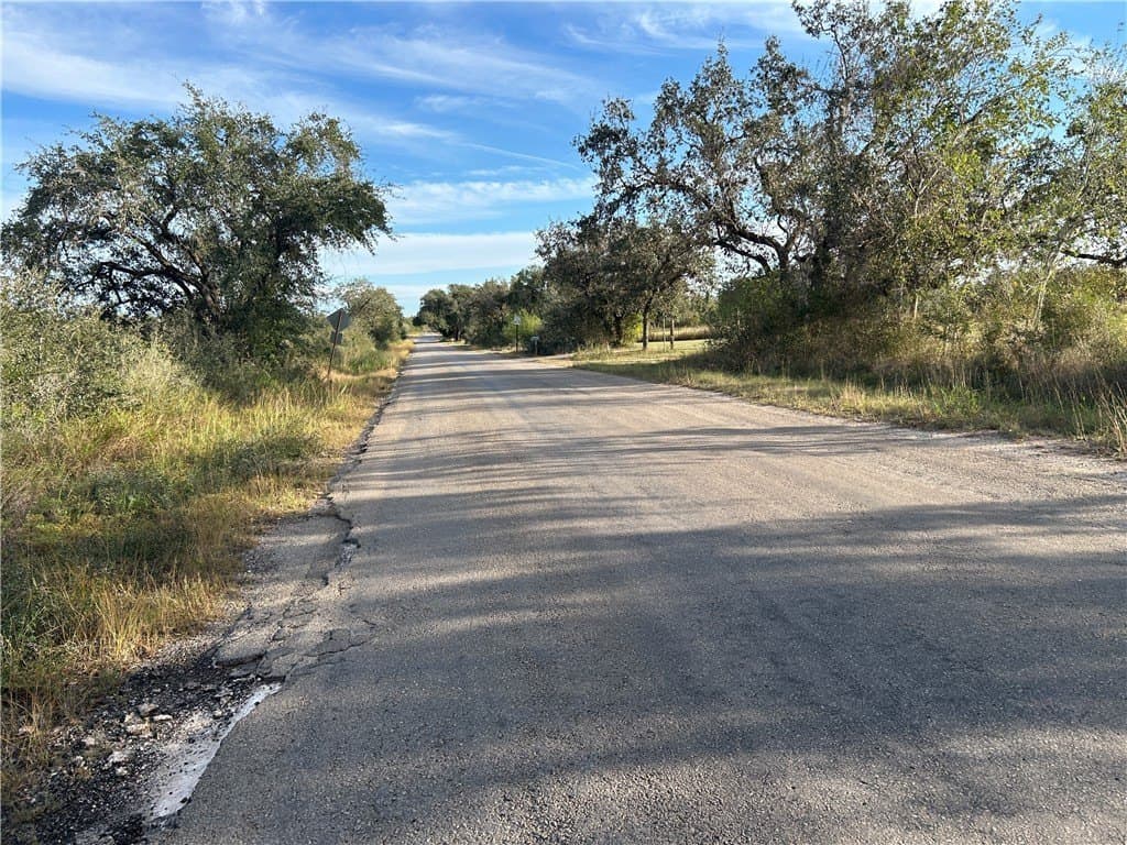 17.2 acres in Bee County - photo 6
