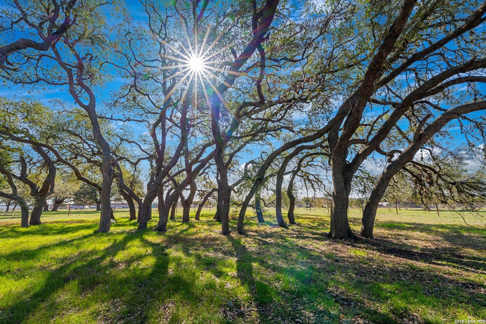 20 acres in Comal County - photo 39
