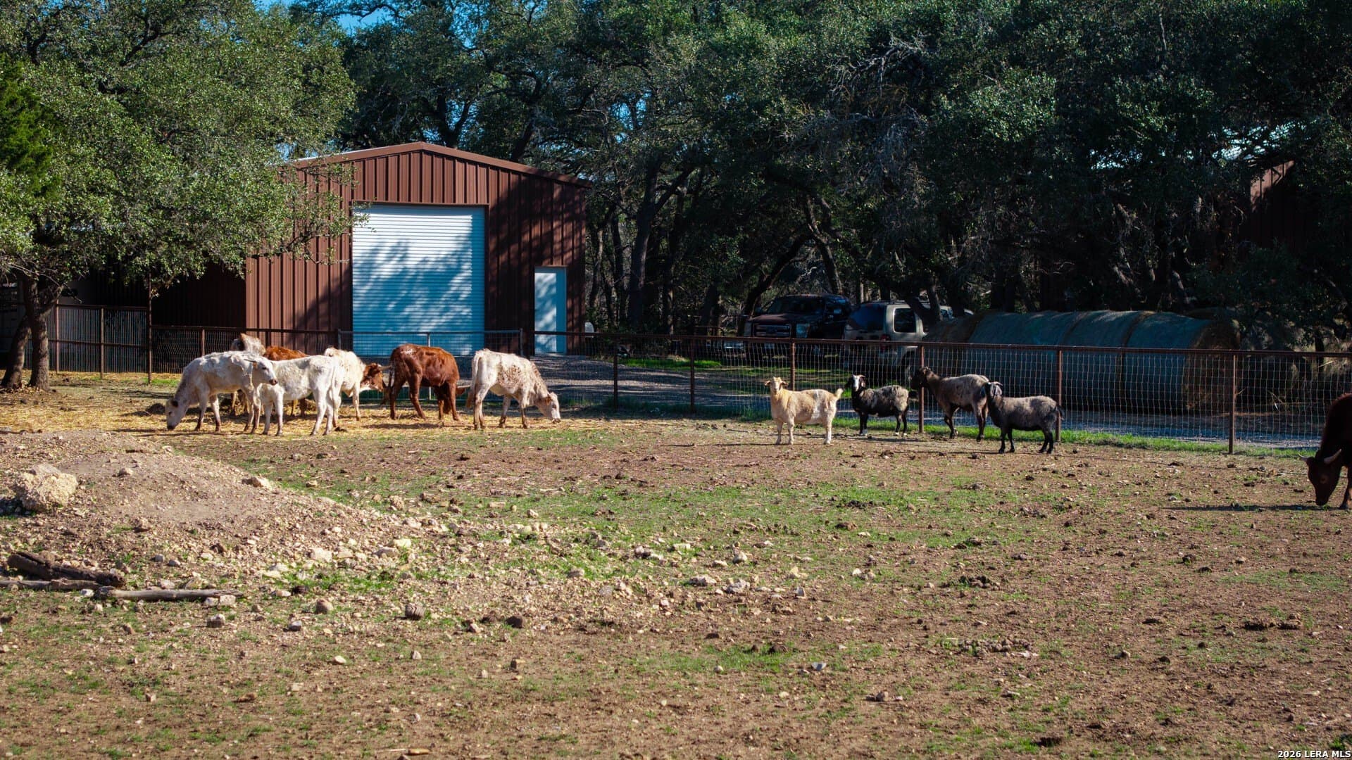 20 acres in Comal County - photo 27