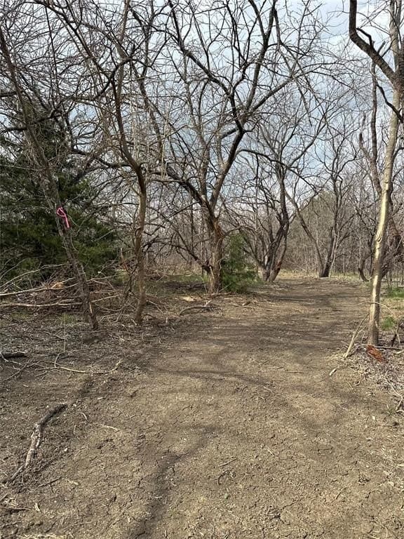 5.35 acres in Ellis County - photo 14