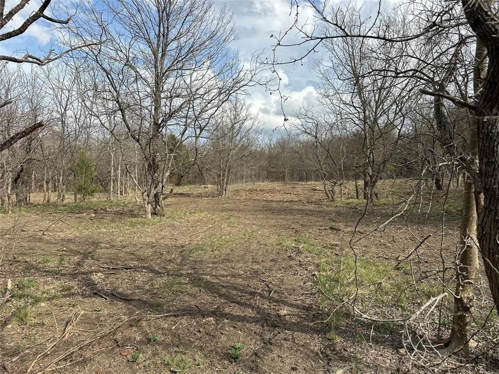 5.35 acres in Ellis County - photo 10