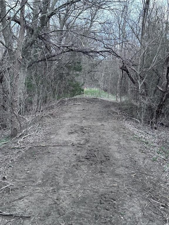 5.35 acres in Ellis County - photo 9