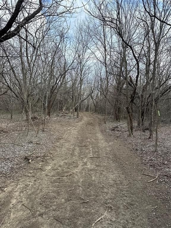 5.35 acres in Ellis County - photo 5