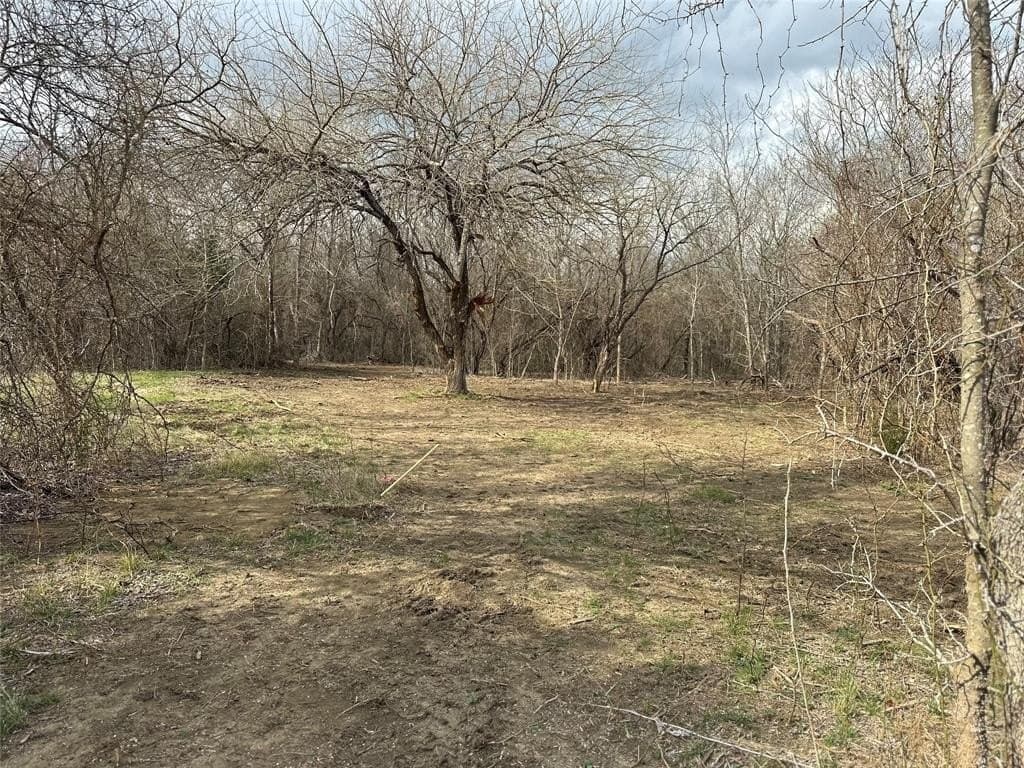 5.35 acres in Ellis County - photo 12