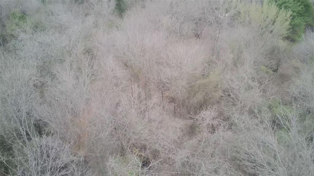 5.35 acres in Ellis County - photo 24