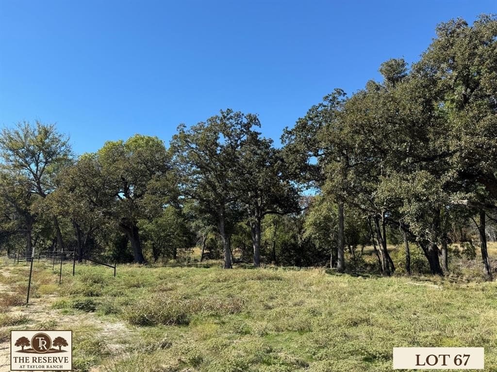 1.78 acres in Parker County - photo 9