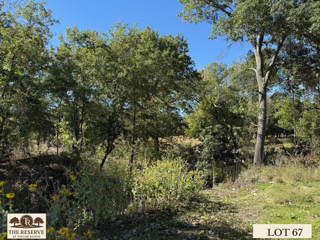 1.78 acres in Parker County - photo 11