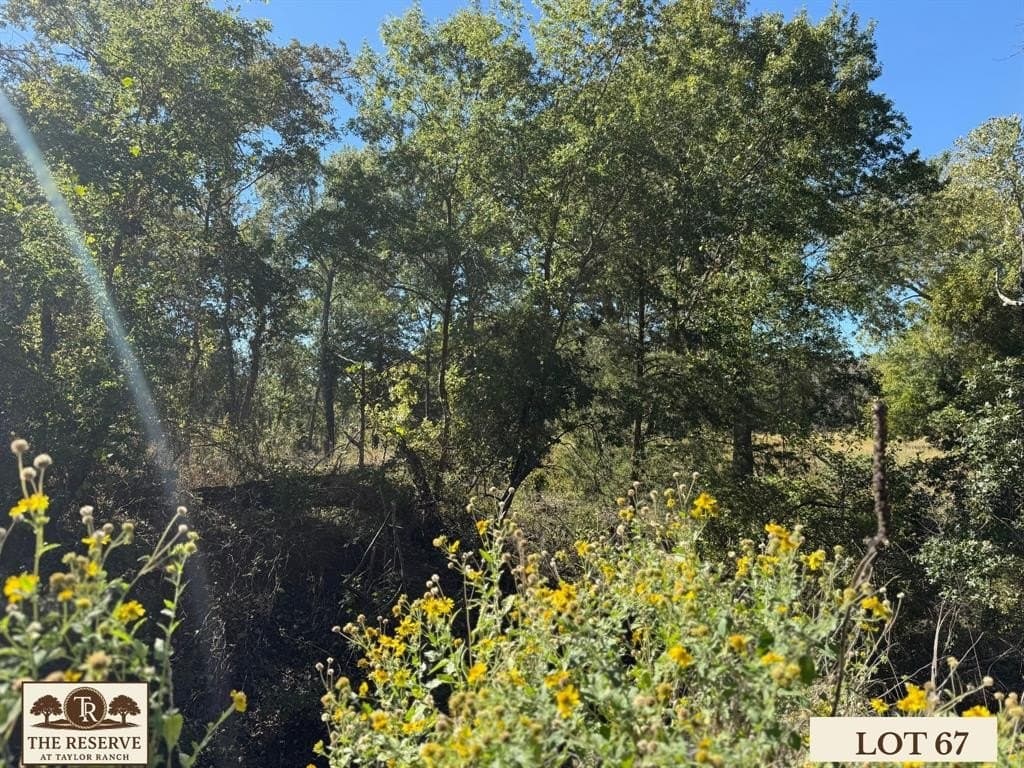 1.78 acres in Parker County - photo 14