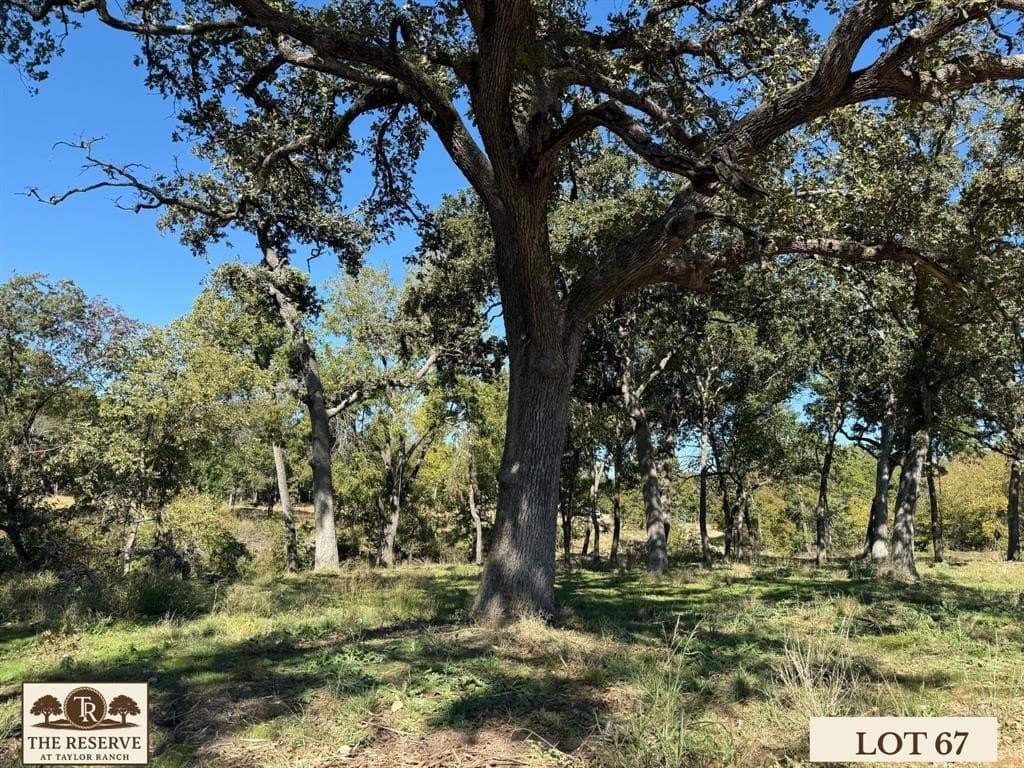 1.78 acres in Parker County - photo 12
