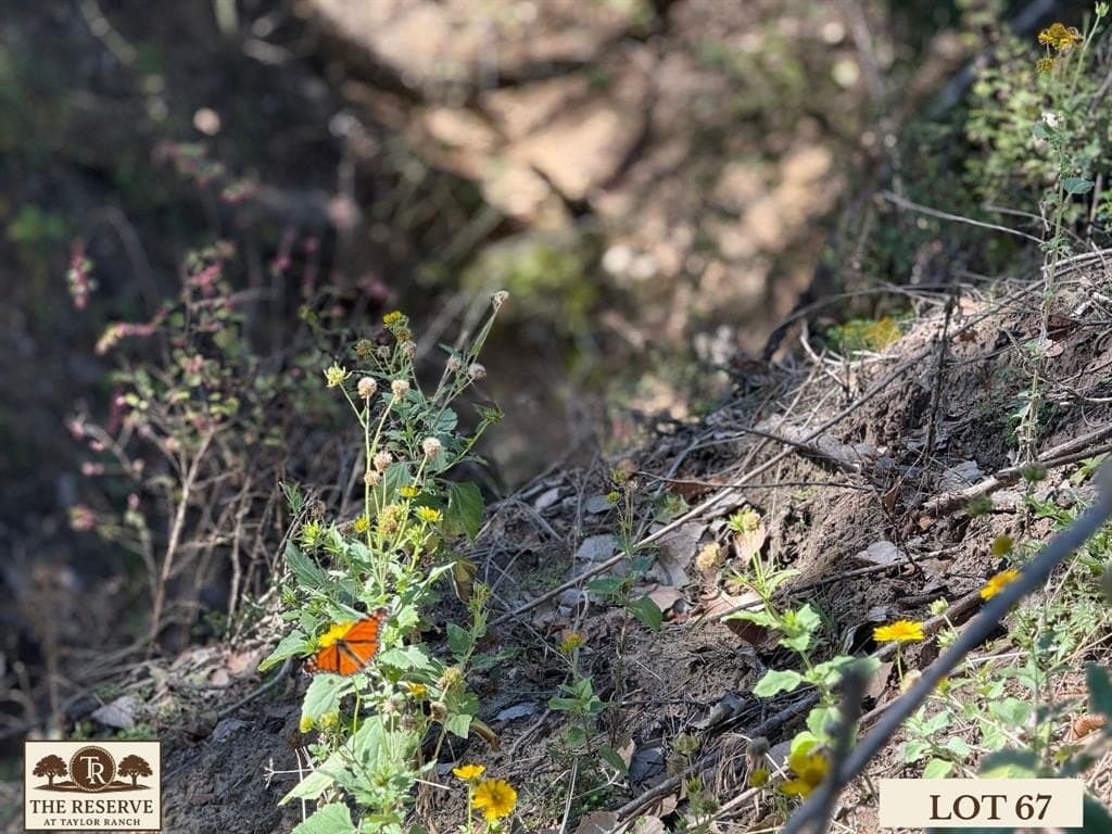 1.78 acres in Parker County - photo 13