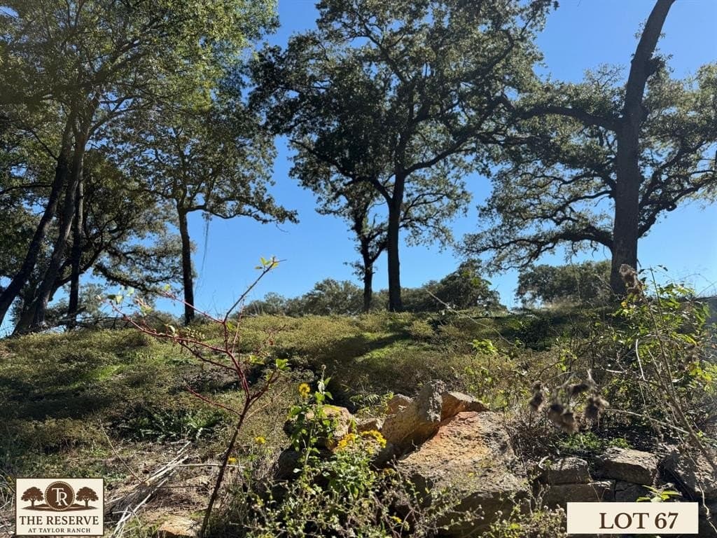 1.78 acres in Parker County - photo 16
