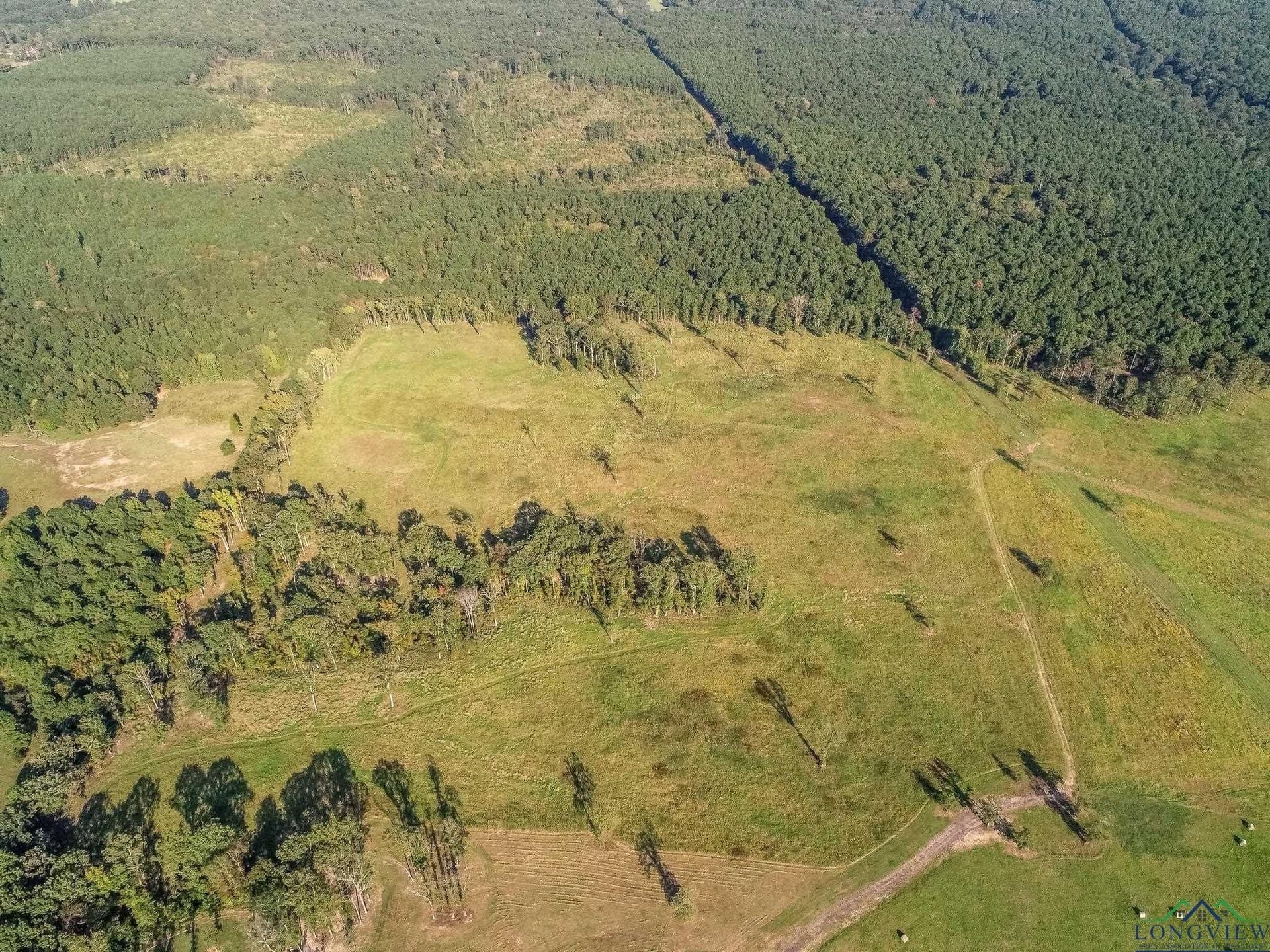 155 acres in Harrison County - photo 19