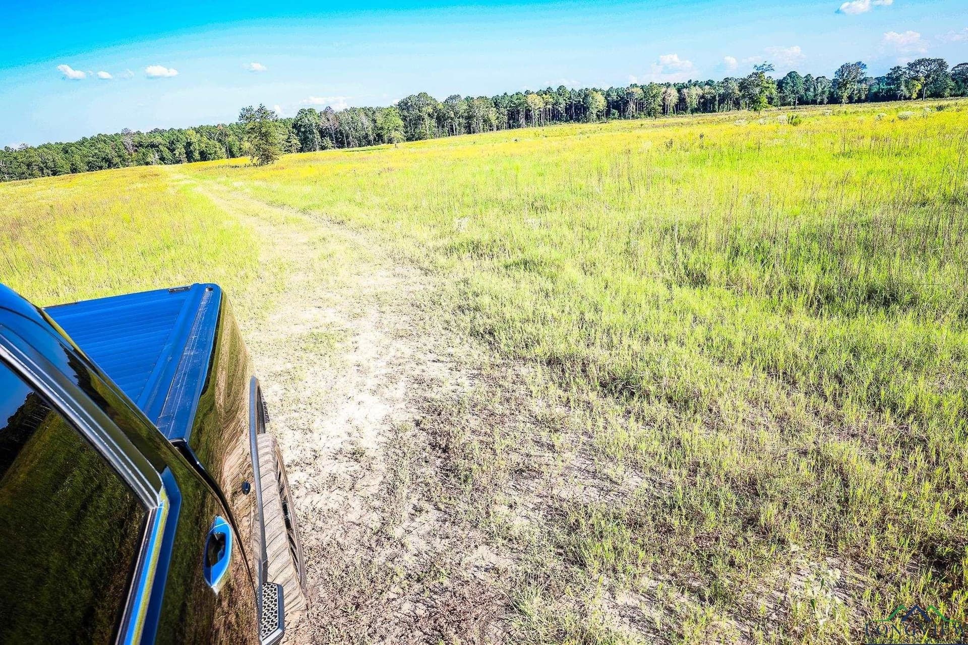 155 acres in Harrison County - photo 21