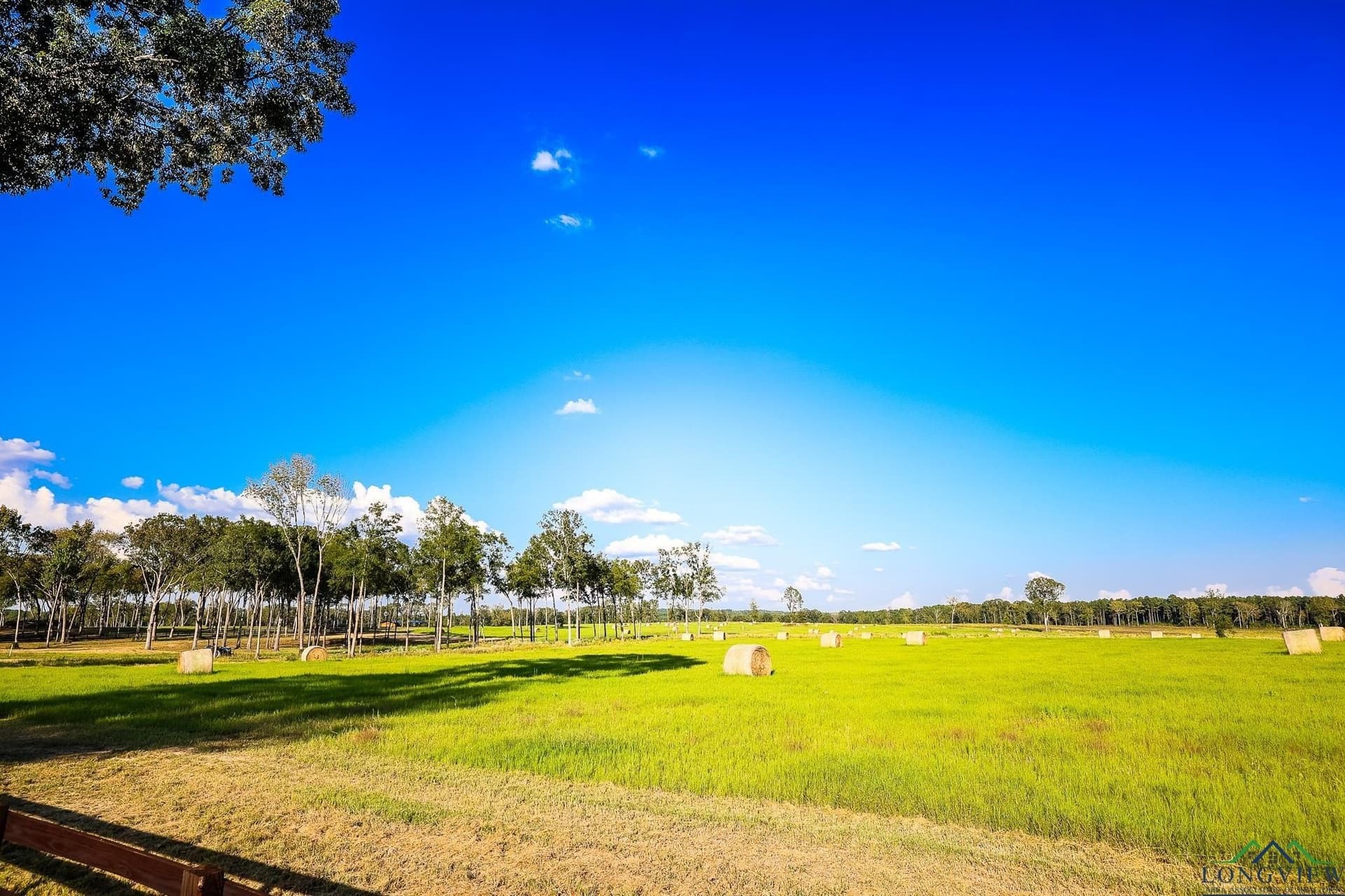 155 acres in Harrison County - photo 26