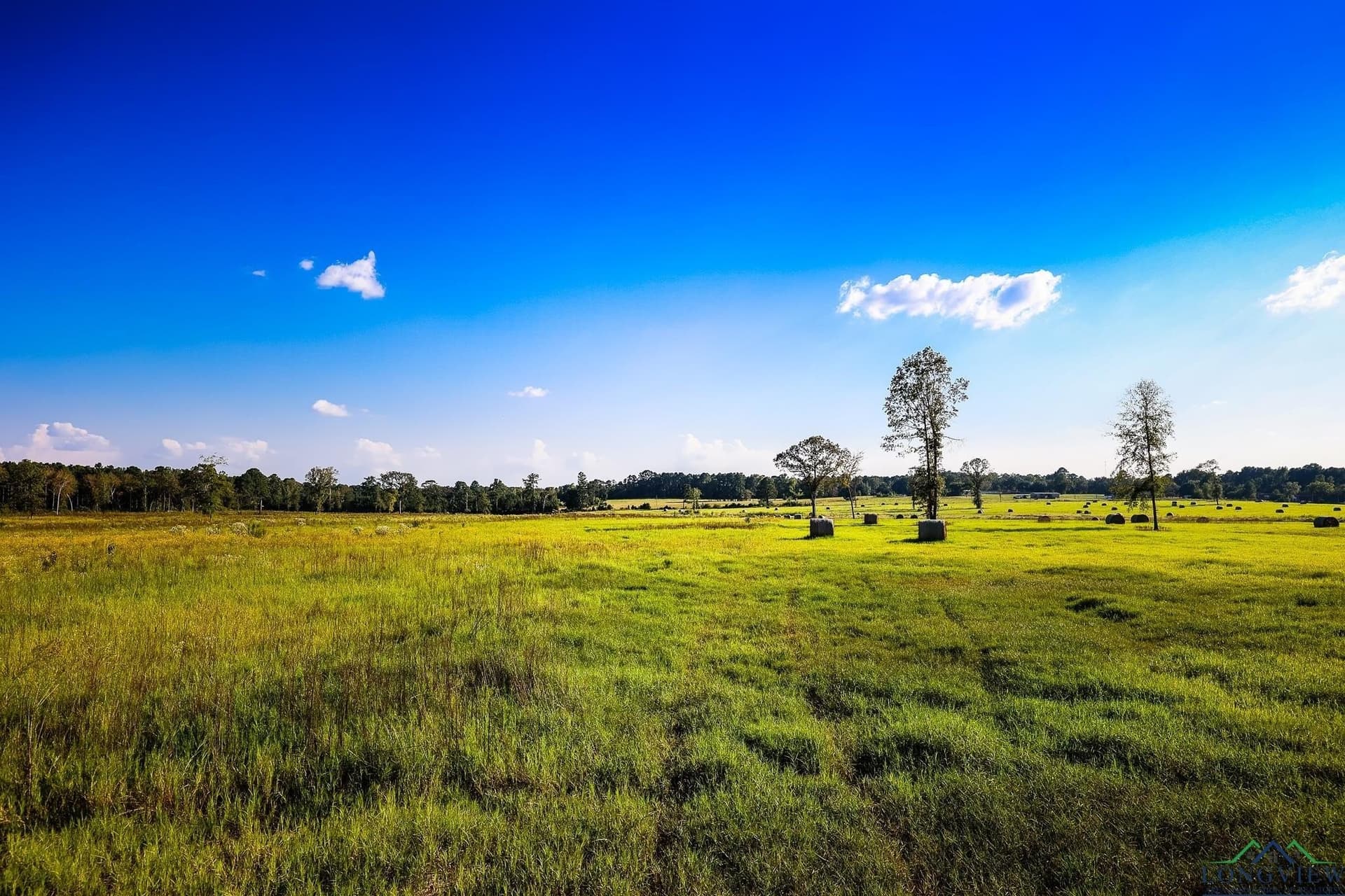 155 acres in Harrison County - photo 23